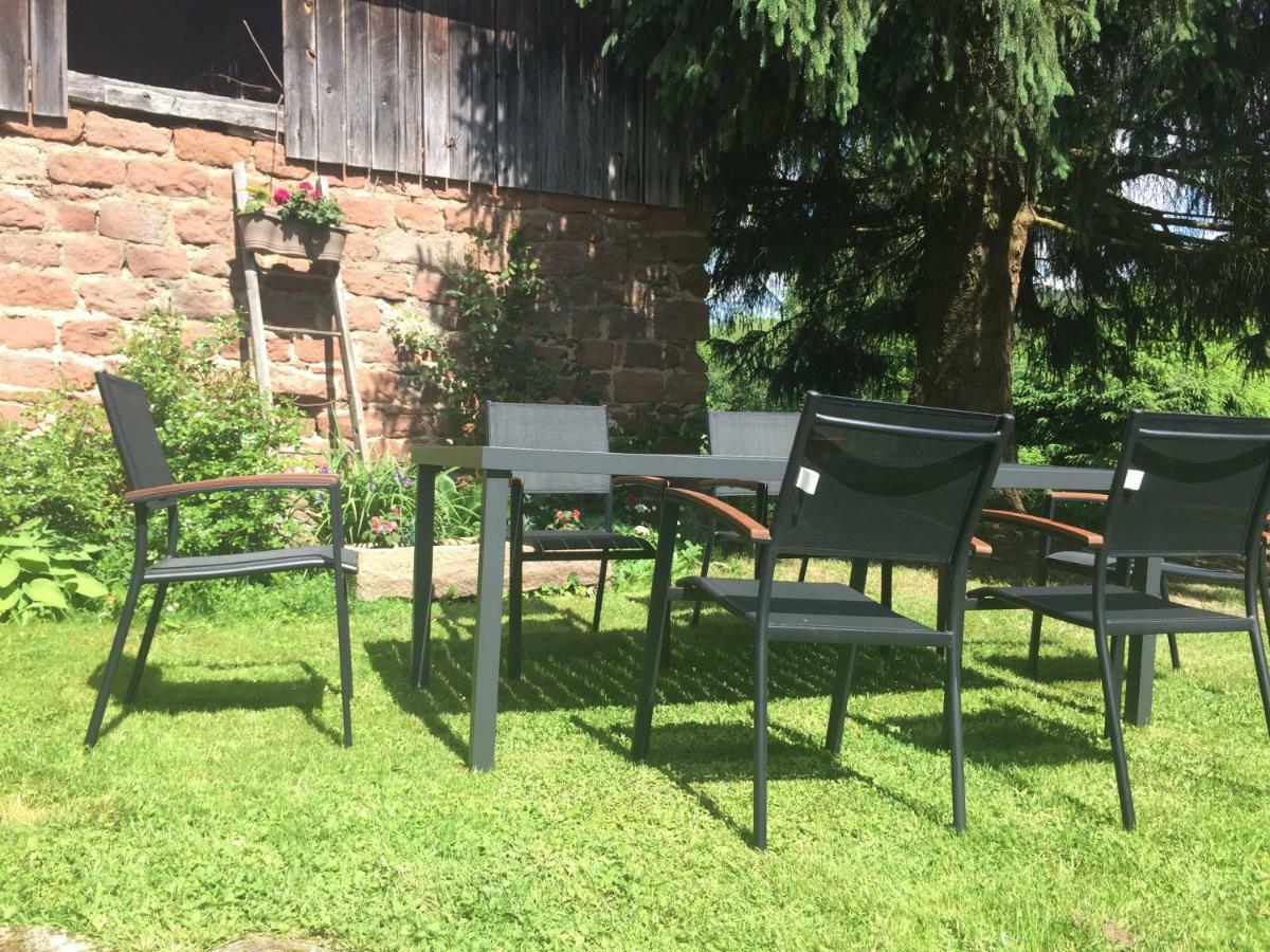 Apartamento Meublés de Tourisme Heidelbeere Dambach Exterior foto