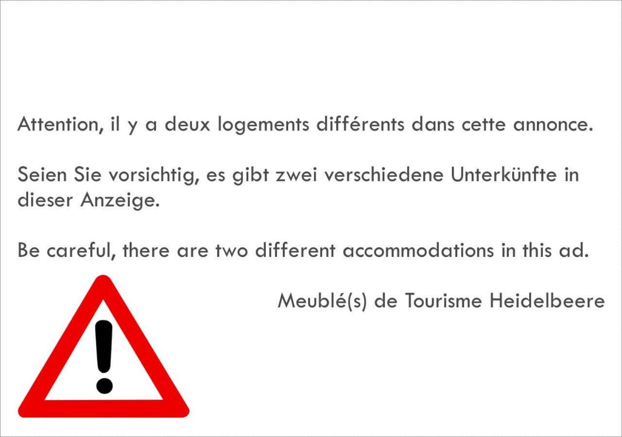 Apartamento Meublés de Tourisme Heidelbeere Dambach Exterior foto